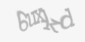 Código de segurança